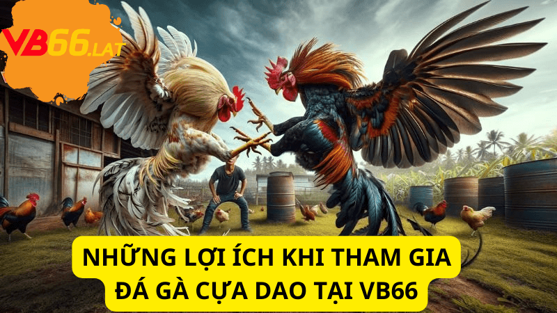 Những lợi ích khi tham gia Đá Gà Cựa Dao Tại VB66